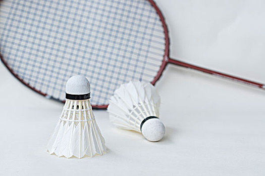 资深足球从 资深足球从