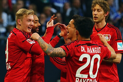 避免对塞鸟 避免对塞鸟