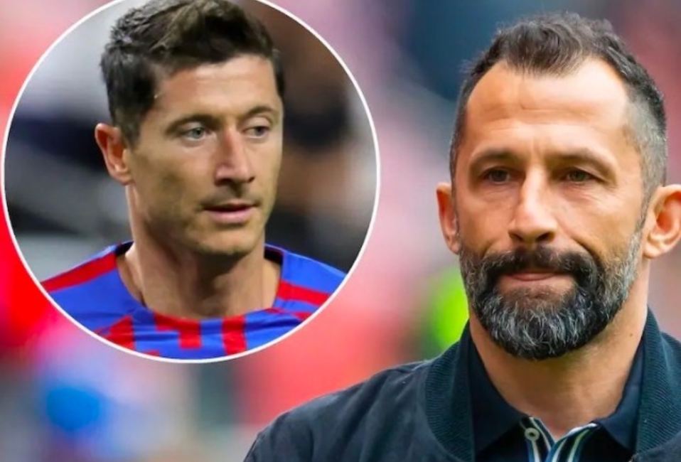 王楚钦所在 王楚钦所在