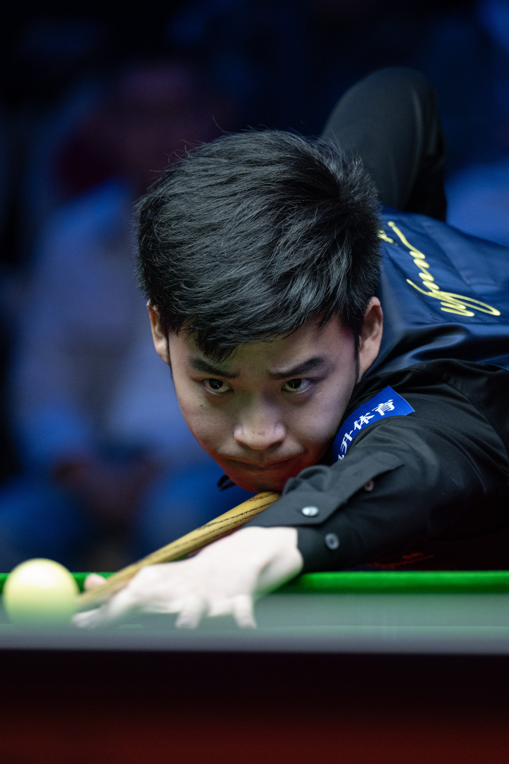 组织防线 组织防线